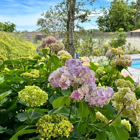 La Boheme Apartment Galgon