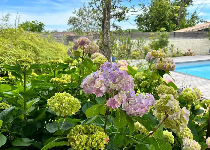 La Boheme Apartman Galgon